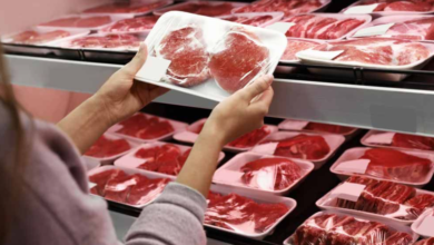 HOW TO CHOOSE A TRUSTED ELK MEAT WHOLESALE SUPPLIER