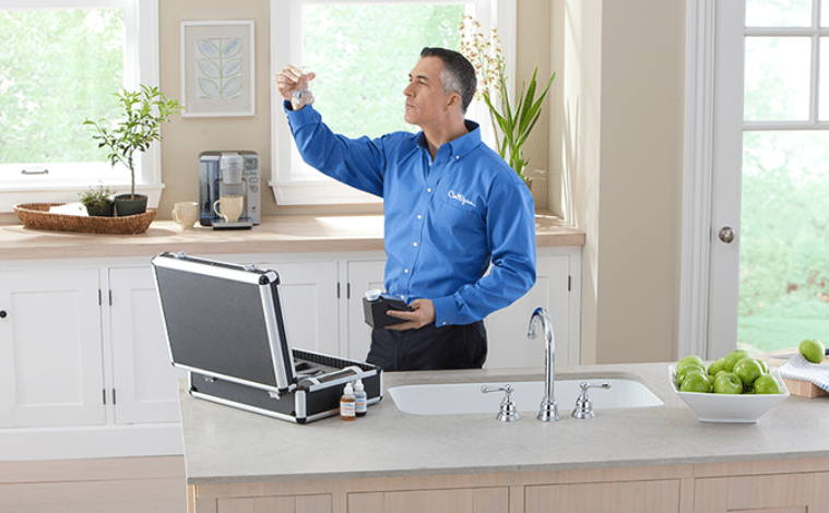 Elevating Your Culinary Experience With Premium Water from Culligan of Red Wing