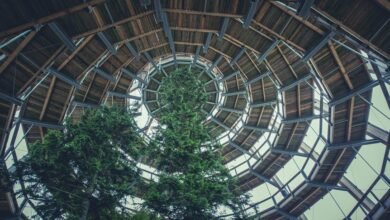 corporate growth intelligence framework