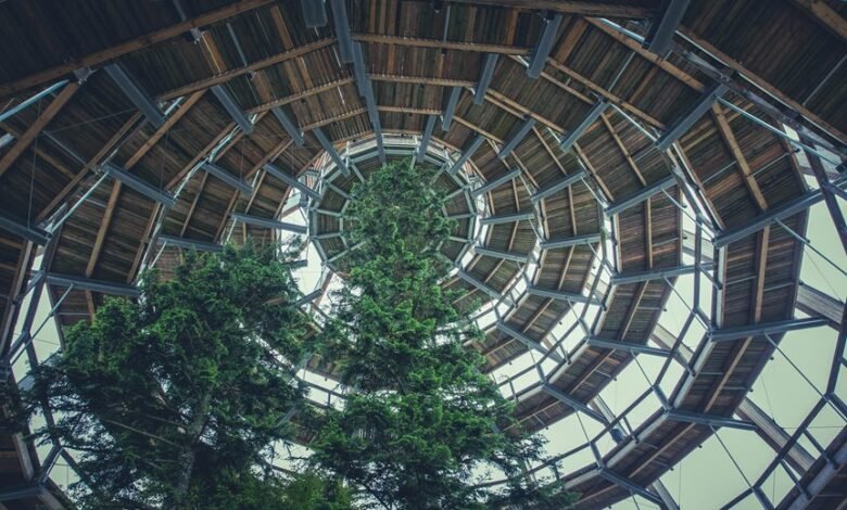 corporate growth intelligence framework