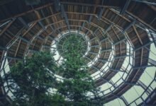 corporate growth intelligence strategy