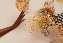 intelligence governance professional overview