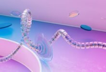 strategic intelligence control summary