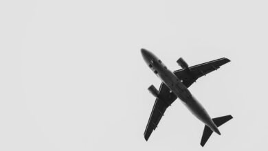 maximize roi through paid media