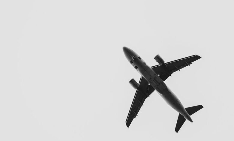 maximize roi through paid media