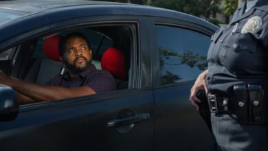 search authority ranking control