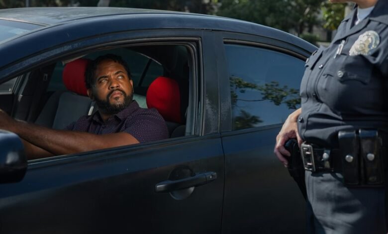 search authority ranking control