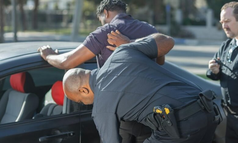 search authority ranking mastery