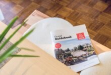 a beginner s guide 5593355226