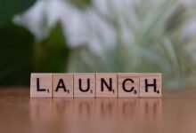 getting started with yomov8es successfully