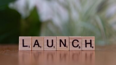 getting started with yomov8es successfully