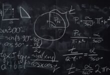 sinecadodiaellaz significance emphasized now