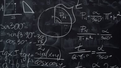 sinecadodiaellaz significance emphasized now