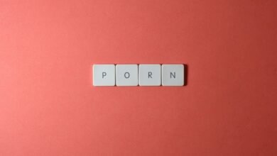 starting hentai20mio getting started