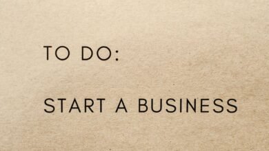 starting with anaestrada0310 successfully