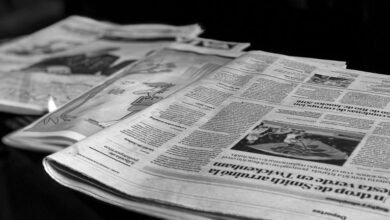 top facts about vfklyeshku