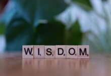 top reasons for vtlcdbc learning
