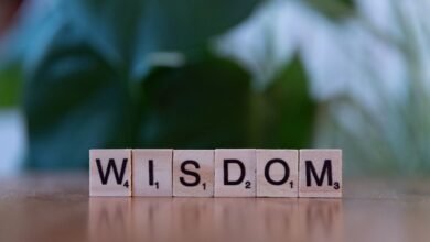 top reasons for vtlcdbc learning