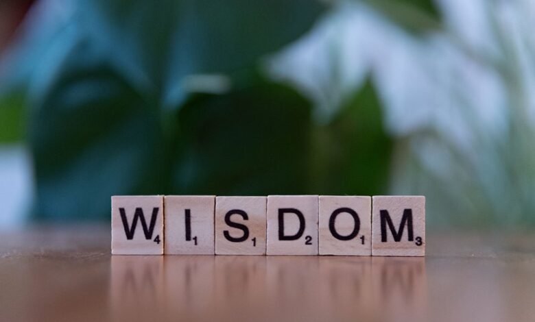 top reasons for vtlcdbc learning